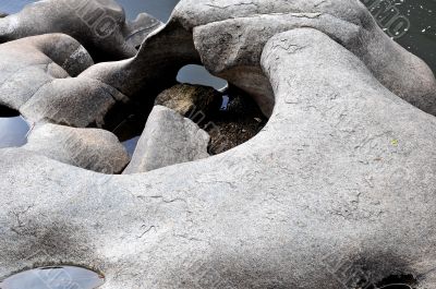 Natural Shapes