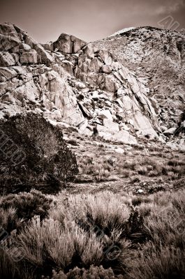 Desert Scene in Fall