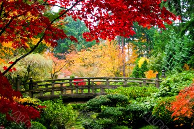 Bridge in a Garden