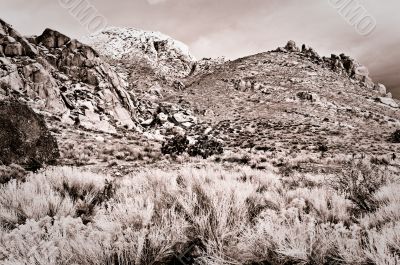 Desert Scene in Fall