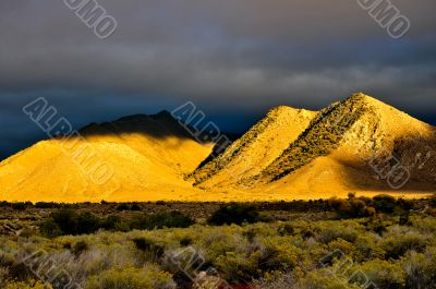 Desert Scene in Fall