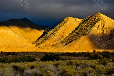 Desert Scene in Fall