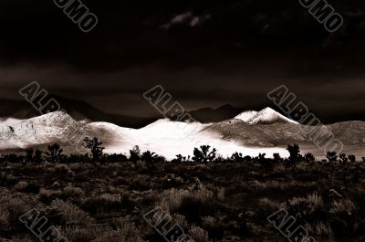 Desert Scene in Fall