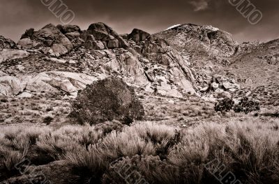 Desert Scene in Fall