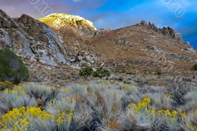 Desert Scene in Fall