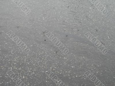 rain on the pavement