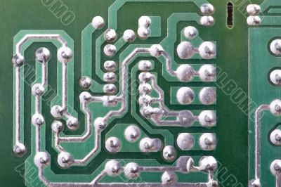 plate on black macro