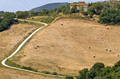Landscape near Volterra (Tuscany) at summer