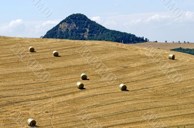 Landscape near Volterra (Tuscany) at summer