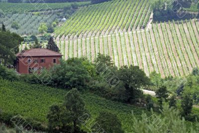 Farm near San Gimignano (Tuscany)