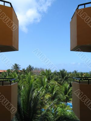 balconies and palm trees