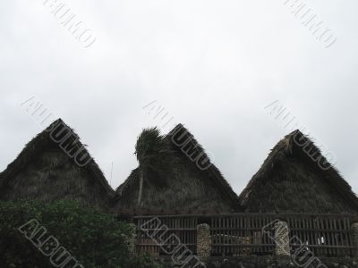 hut made of palm tree leaves