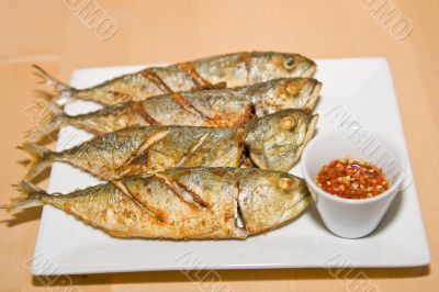 Dish fish