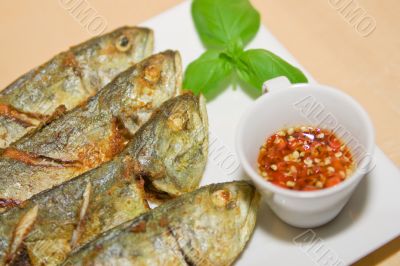 Dish fish