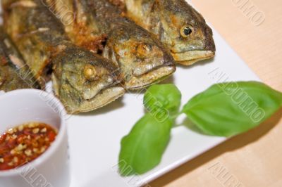 Dish Fish