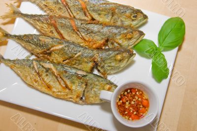 Dish Fish