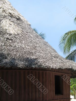 tropical hut