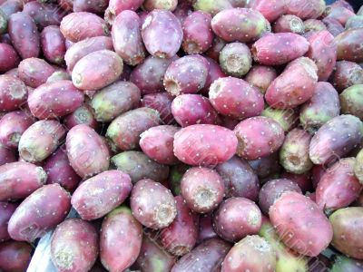 Cactus Pears