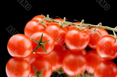 Ripe tomato closeup