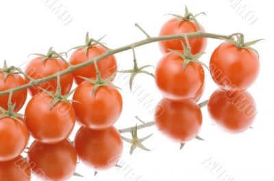 Ripe tomato on white