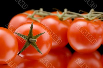 Ripe tomato