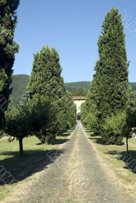 Lucca (Tuscany) - Ancient villa with cypresses