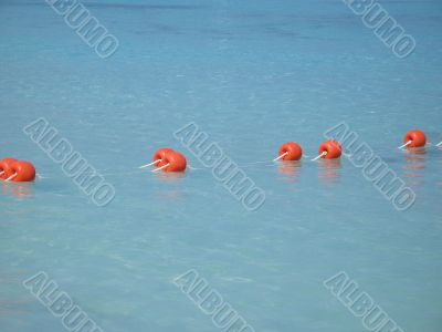 buoys on the ocean