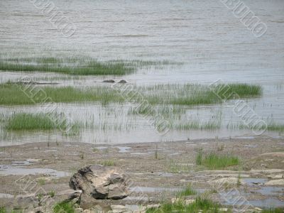 low tides