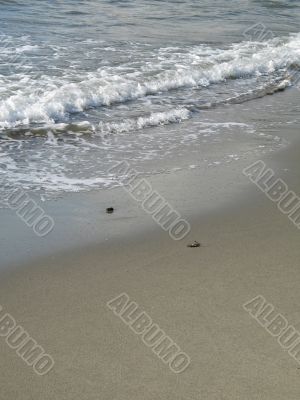 ocean wave on the beach