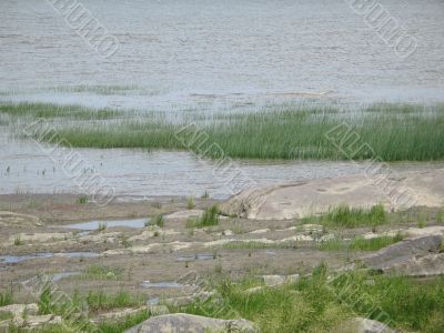 low tides