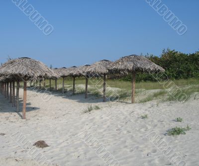 umbrellas on the beach