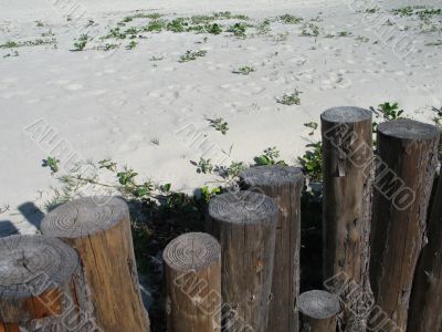sandy beach and fence