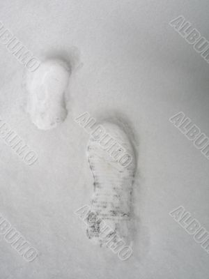 prints in the snow