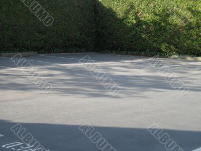 parking lot with hedge
