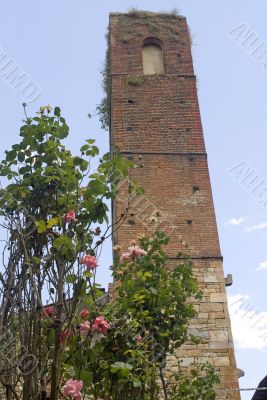 Vicopisano (Pisa) - Medieval tower and flowers