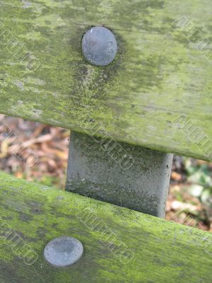 bench close-up