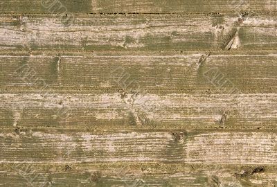 Wood texture