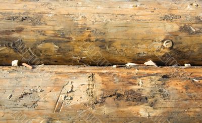 Wood texture