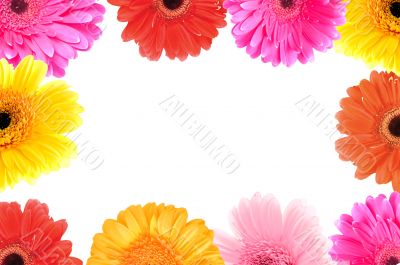frame of flowers
