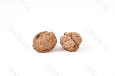walnuts