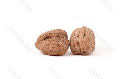 walnuts