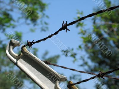barbed wire fence