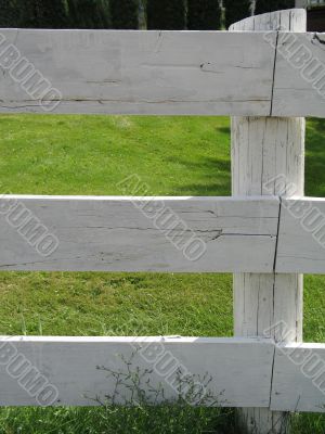 white fence