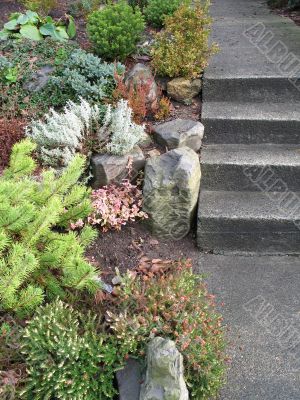 garden with steps