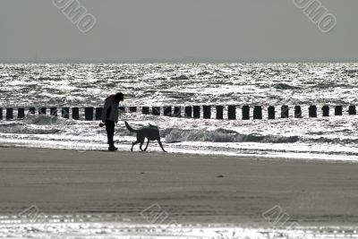 Woman and dog walking on the beach