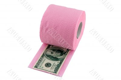 100 dollars in toilet paper