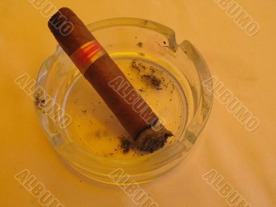 a cuban cigar close-up