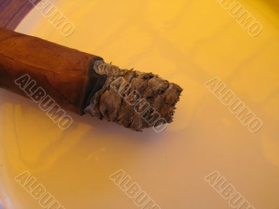 a cuban cigar close-up