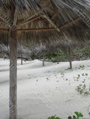 under a palapa