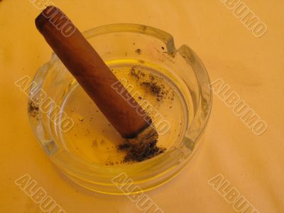 cigar closeup